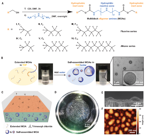 1665282739271003.png 6.png