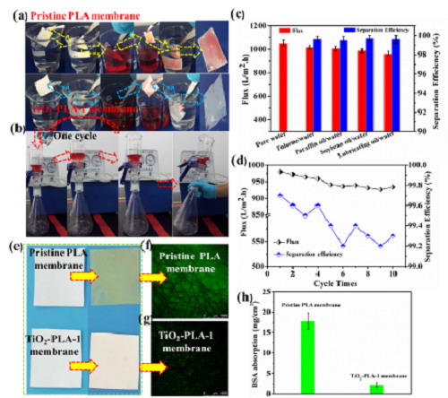 圖2.柔性聚乳酸微(wēi)孔膜的(de)納米剛性界面構築及油水(shuǐ)分(fēn)離 圖2.柔性聚乳酸微(wēi)孔膜的(de)納米剛性界面構築及油水(shuǐ)分(fēn)離