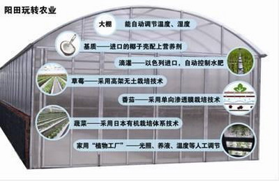 陽田農(nóng)科(kē)無土(tǔ)栽培科(kē)研大(dà)棚引進了(le)一(yī)種單向滲透膜技(jì)術(shù) 陽田農(nóng)科(kē)無土(tǔ)栽培科(kē)研大(dà)棚引進了(le)一(yī)種單向滲透膜技(jì)術(shù)