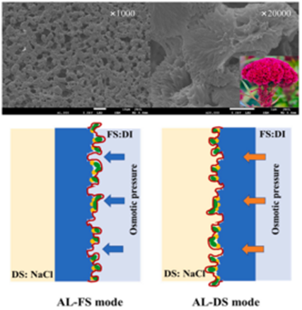 1687228194727942.png image.png