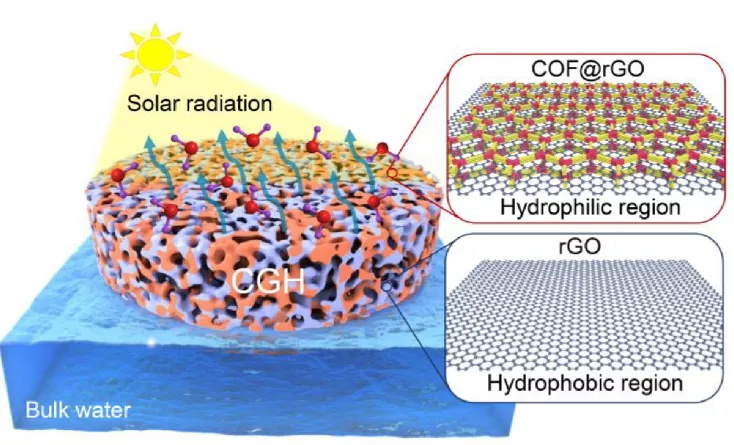 1644758172758747.jpg 11-1.JPG